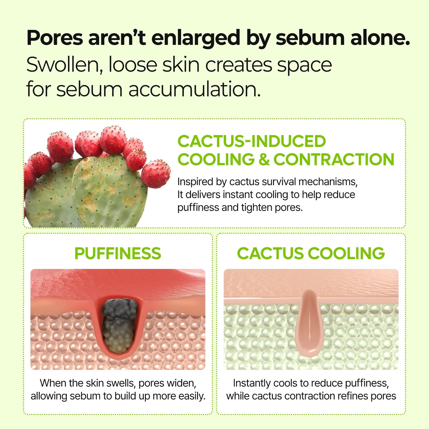 CACTOX Pore Relief Jelly Serum Mist